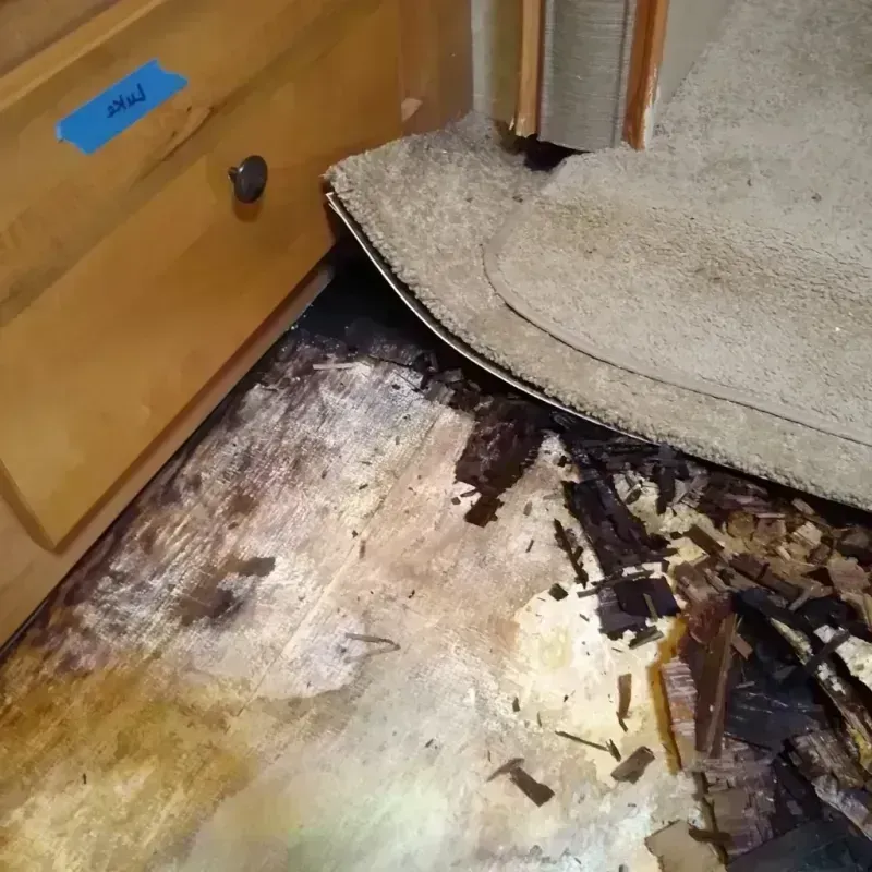 Wood Floor Water Damage in High Point, FL